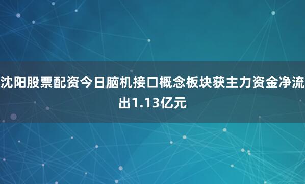 沈阳股票配资今日脑机接口概念板块获主力资金净流出1.13亿元